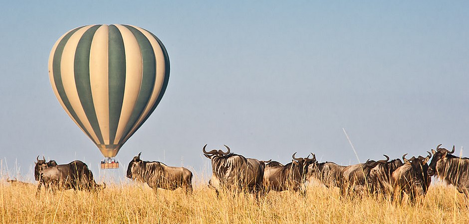 6 Days Masai Mara safari