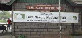 Entrance fees for Lake Nakuru National park