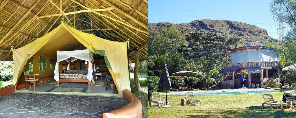 Flamingo hill tented camp