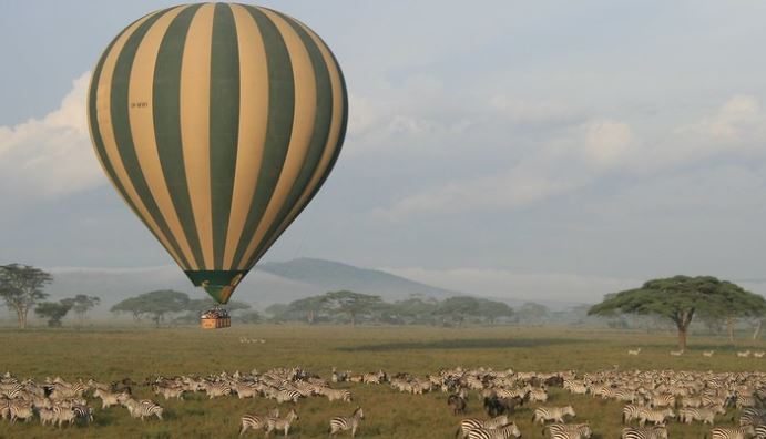 Best Kenya safari activities