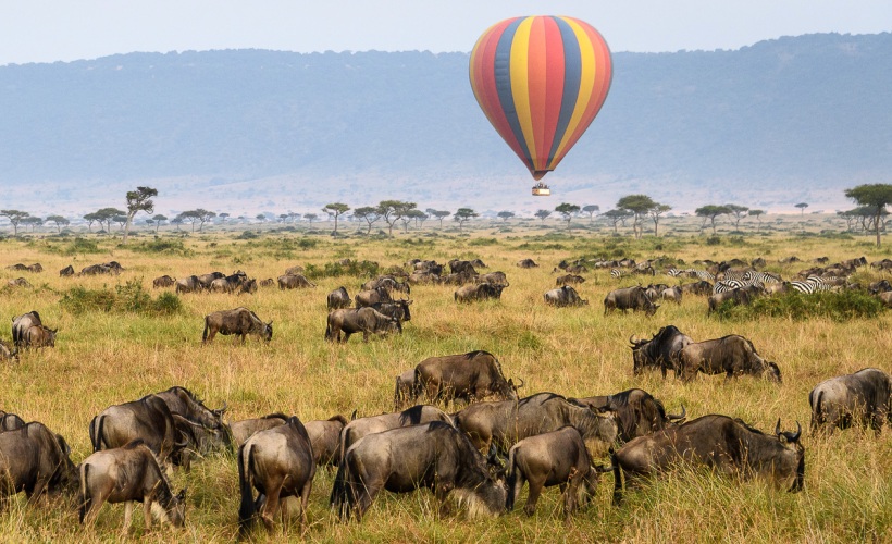 8 days Kenya Wildlife safari tour
