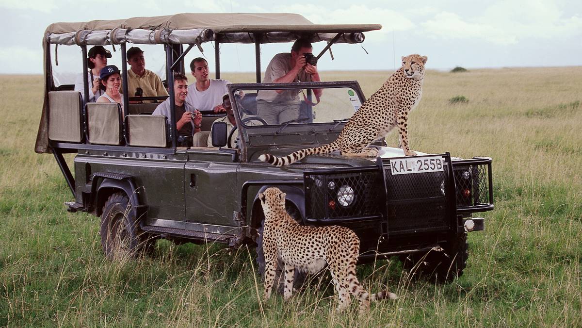 4 days Masai Mara luxury safari