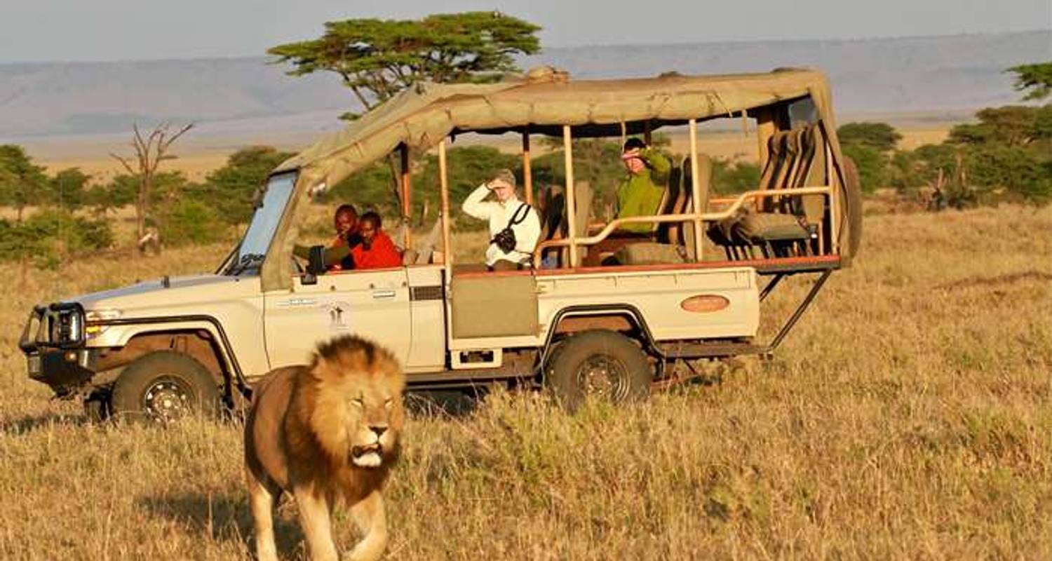 Private Safaris