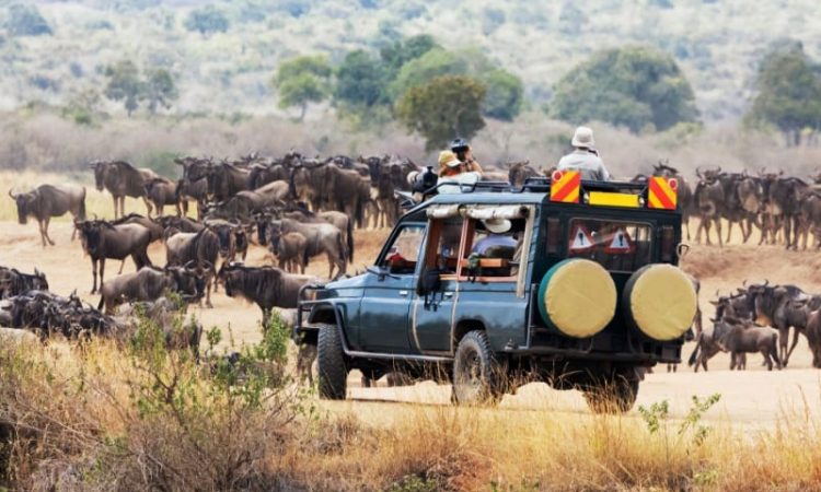 Masai mara Park Fees