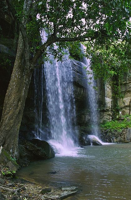 Sheldrick Waterfalls in Kenya