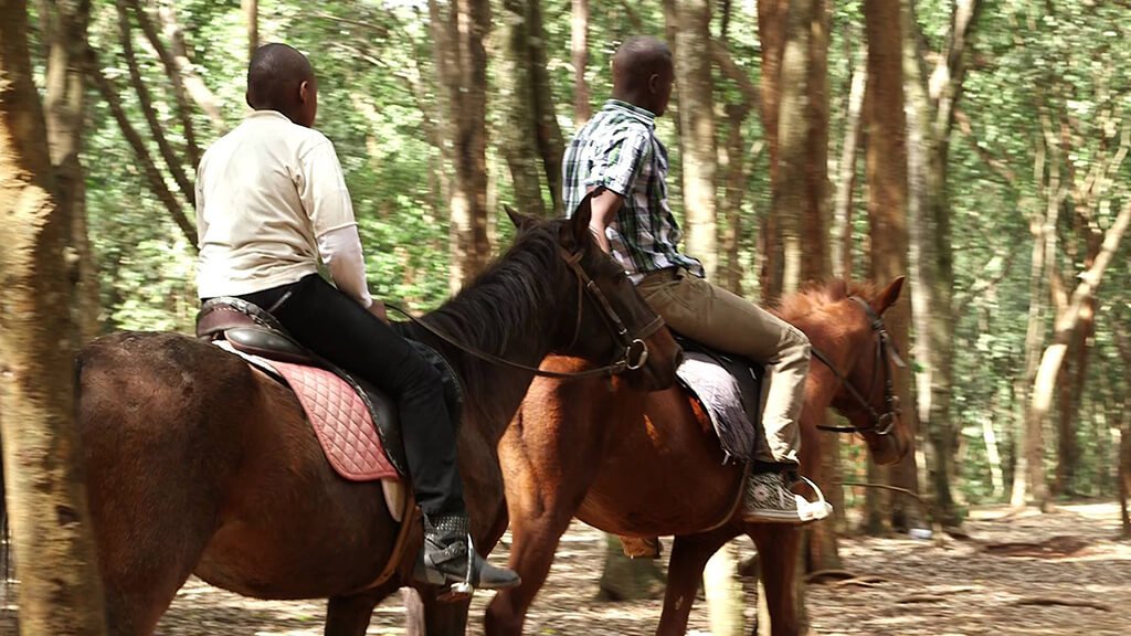 Best Places to go for Horse riding in Kenya