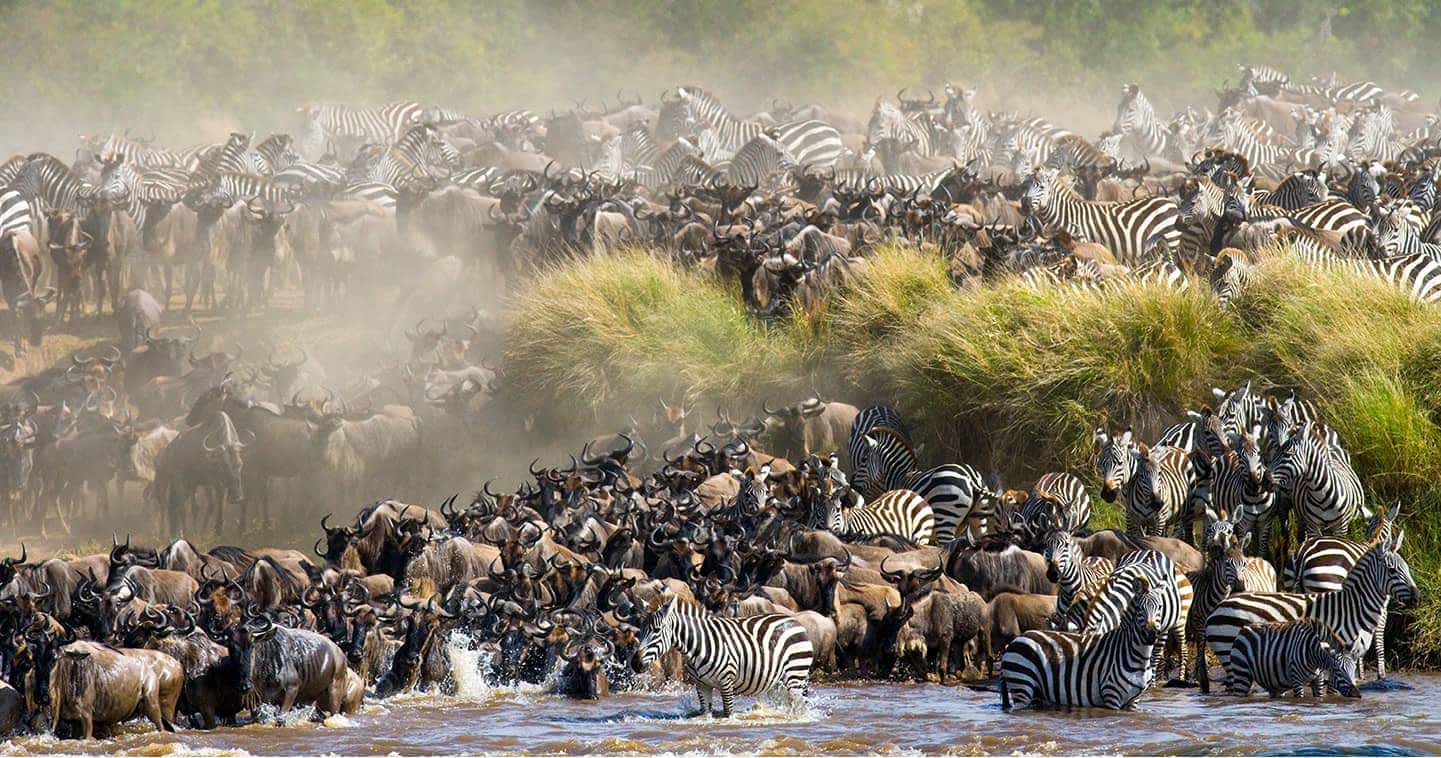 Where does great migration take place in Kenya?