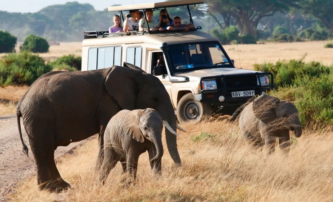 Tips of enjoying perfect game drive on a Kenya safari